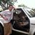 Jarrod Abarca's profile image