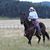 Cathy Stanhope's profile image