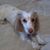 Marybeth Penn's profile image