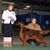 Denise Dolence's profile image