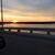 Gayle Malott's profile image