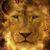 Martin Hernandez's profile image