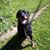 Kenneth Gauvin's profile image