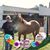 Denise Borntrager's profile image
