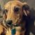 Paula Bogansky's profile image