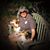 Barbara Greer's profile image