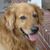 Dwight Doyle Mcmahan's profile image