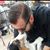 Chris Harpe-Amos's profile image