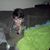 Donnette Havey's profile image