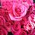 Sheila Milligan's profile image