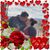 Christina McCollam's profile image