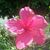 Keri Mintz's profile image