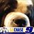Patti Reisser's profile image