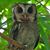 Nancy L. Calhoun's profile image