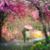 Linda Kathryn Johnson's profile image