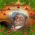 Regina Edwards Allen's profile image
