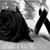 Gerardo J. Pequeño's profile image