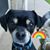 Becky Moehring's profile image