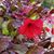 Alicyn Cerulli's profile image