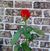Juanita Ramos's profile image