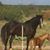 Marilyn Hildebeidel's profile image