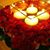 Candy Apple's profile image