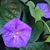 Jodi Gollnick's profile image