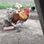 Sally Bundy Garner's profile image