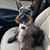 Kathleen Trygg Chiles's profile image