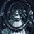 McCann McDaniel's profile image