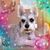 Joan Clawson's profile image