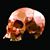 Jacob Byrnes's profile image