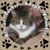 Catherine Beauregard Vyse's profile image