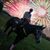 Evan Molihan's profile image