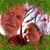 Kathy Lea Carmichael Colby's profile image
