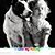 Donna L Simon's profile image