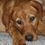 Maureen La Force Bidart's profile image