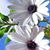 Twyla Johnson's profile image