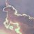 Ylenia Romoli's profile image