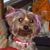 Sandra Bacchetta-Anderson's profile image