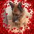 Francesca Grimaldi's profile image