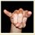 Joe Paola Sr's profile image