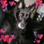 Kim Freeborn's profile image