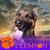 Greg LaRusch's profile image