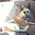 Annette Lindsey's profile image