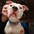 Tanya Krause's profile image