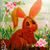 Joan Schamber Swisher's profile image