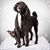 Vicki Lynne Boone's profile image