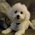Clement Michaud's profile image