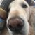 Kelly Fitzpatrick Hassett's profile image